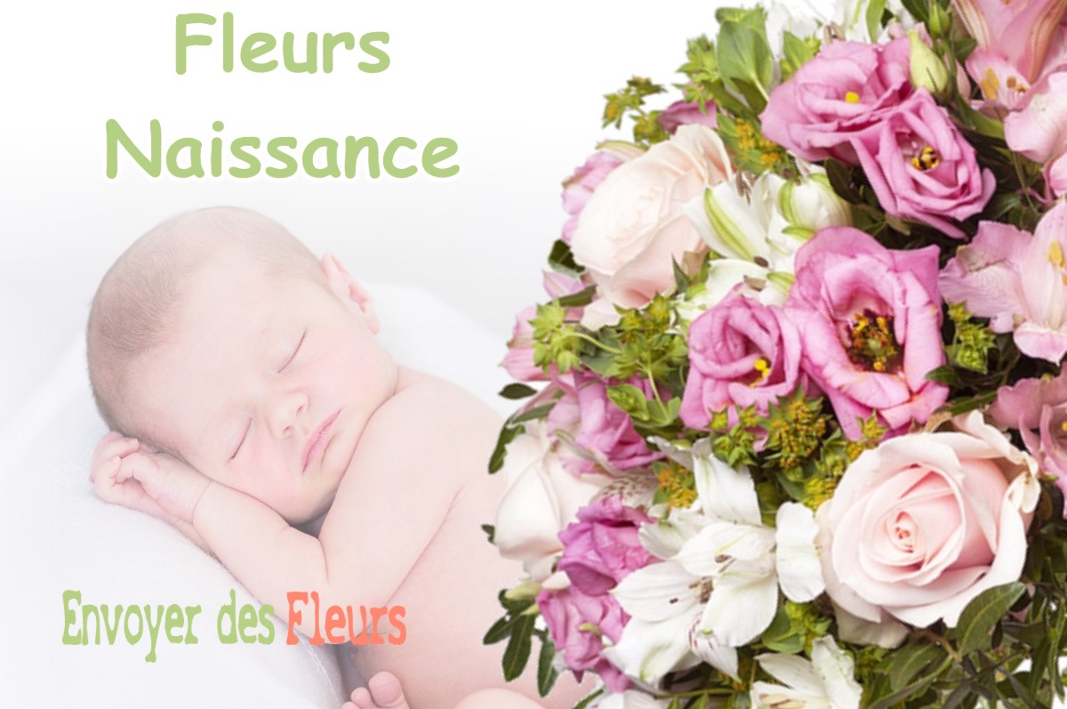 lIVRAISON FLEURS NAISSANCE à LABEGE